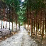 Alpakowy Raj