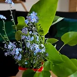 Feriehus Alpakowy Raj Nowy Targ
