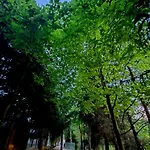 Alpakowy Raj Nyaraló