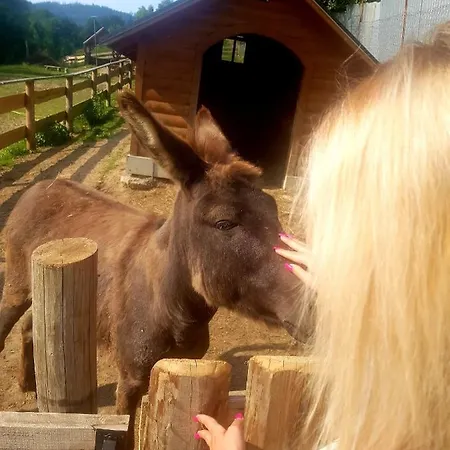 Tatil Evi Alpakowy Raj Nowy Targ