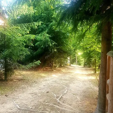 Alpakowy Raj Tatil Evi