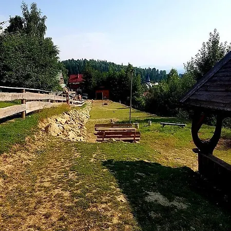 Alpakowy Raj Новы-Тарг