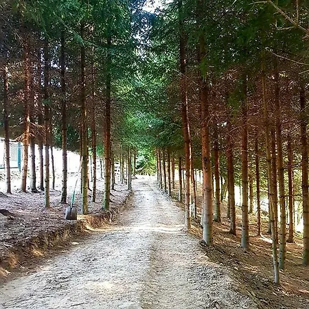 Alpakowy Raj