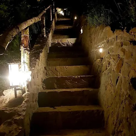 Alpakowy Raj * Neumarkt