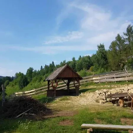 Alpakowy Raj * Nowy Targ