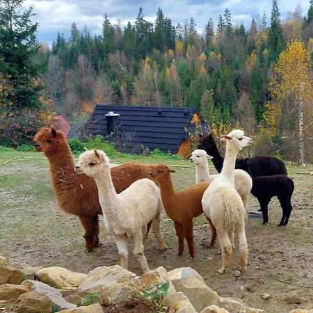 Alpakowy Raj *