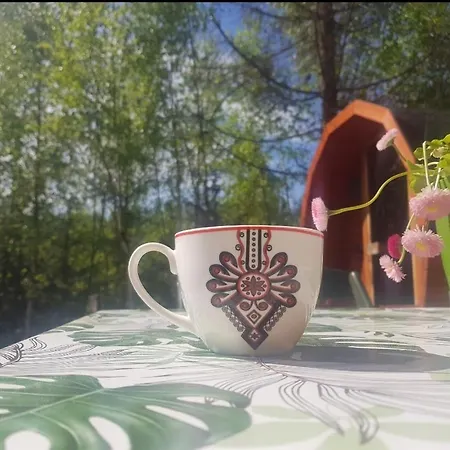 Alpakowy Raj Nowy Targ