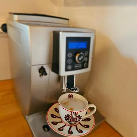 Alpakowy Raj Nowy Targ