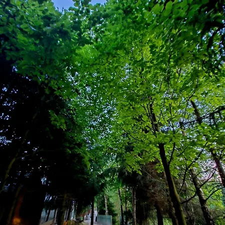 Alpakowy Raj Ferienhaus