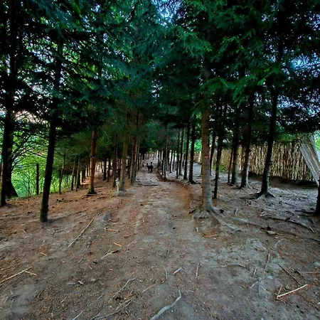 Alpakowy Raj Tatil Evi Nowy Targ