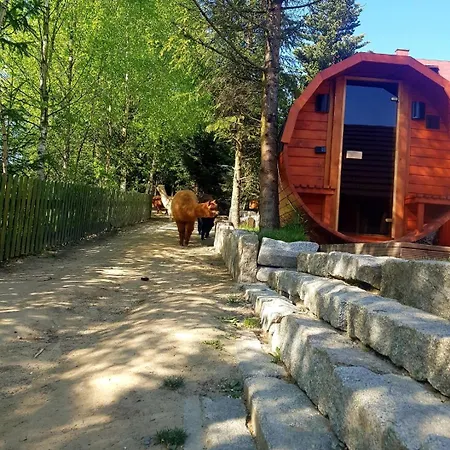 Tatil Evi Alpakowy Raj Nowy Targ