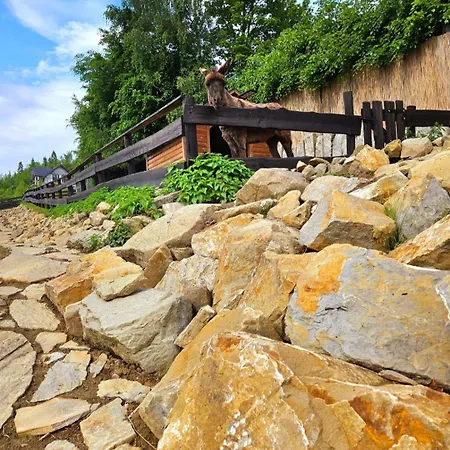 Alpakowy Raj Neumarkt