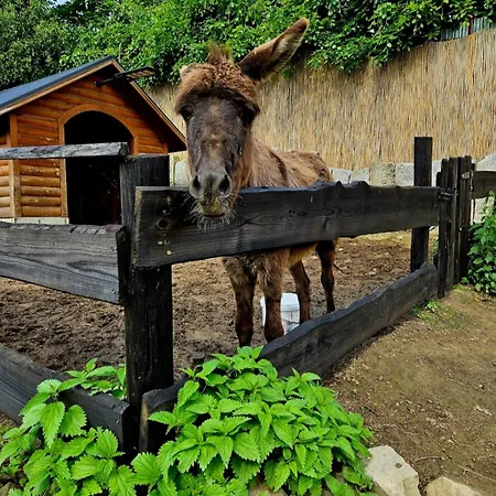 Alpakowy Raj Prázdninový dům Nowy Targ