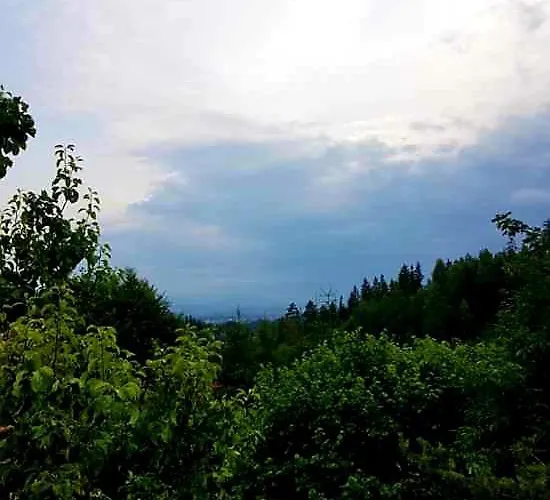 度假居 Alpakowy Raj 新塔尔格