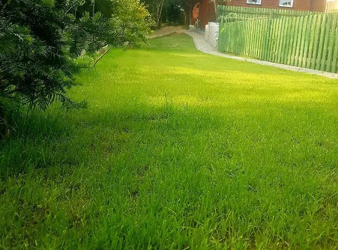 Alpakowy Raj 度假居 新塔尔格