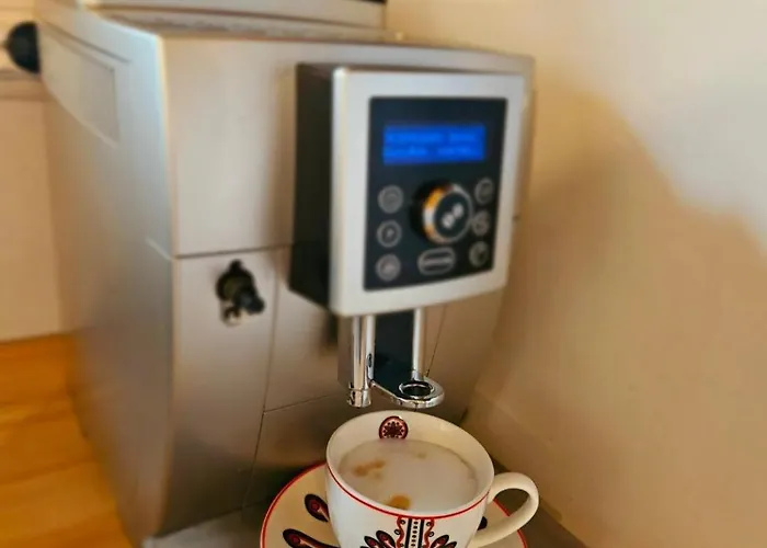 Alpakowy Raj 新塔尔格