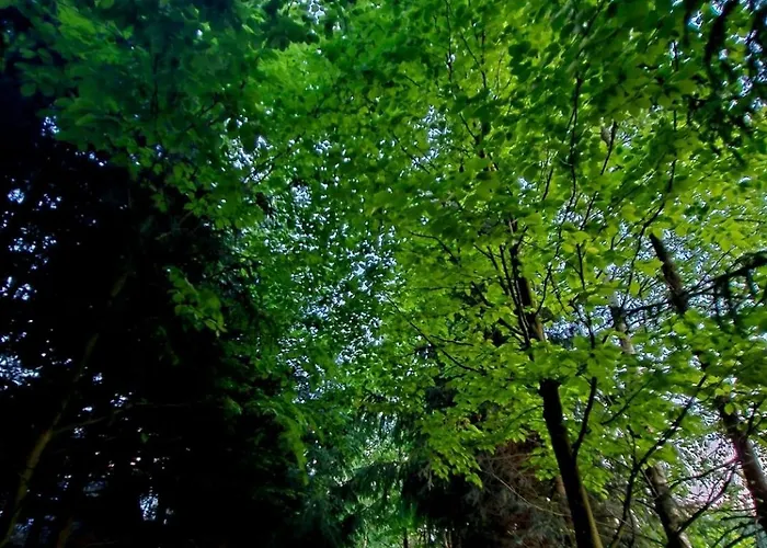 Alpakowy Raj 度假居